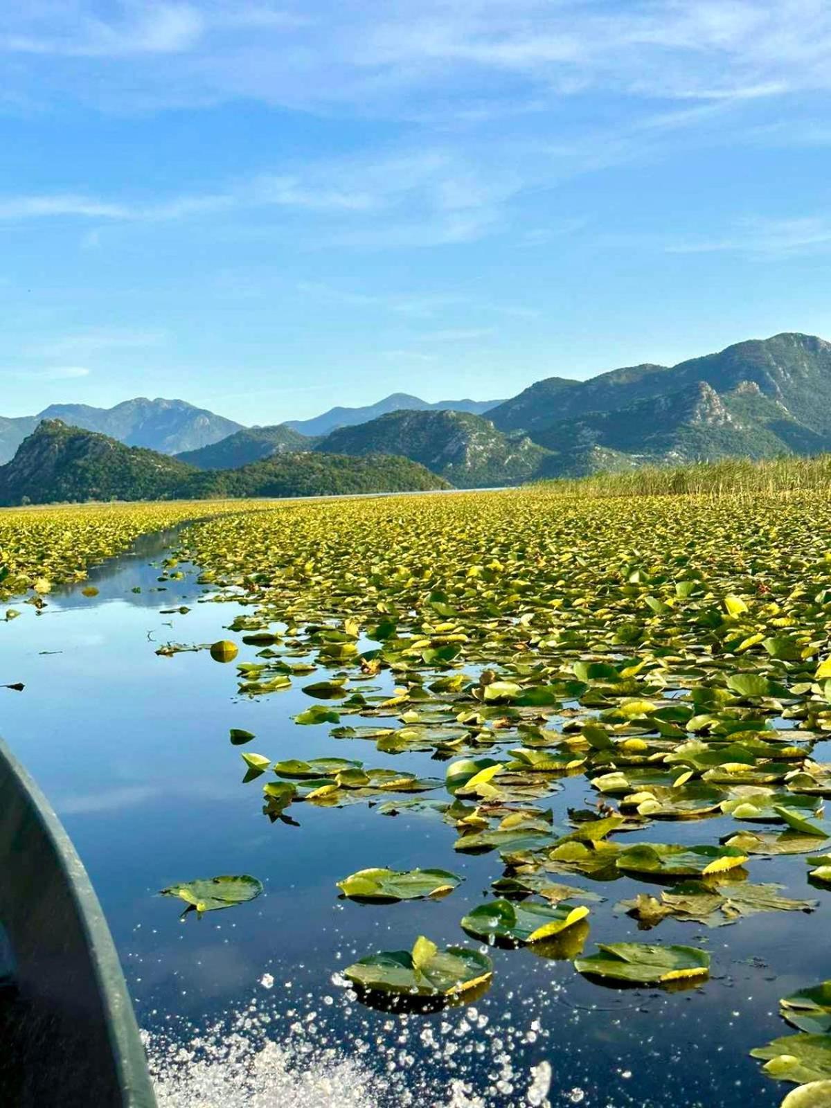 Casa Di Kiara, Skadar Lake Dodosi 외부 사진
